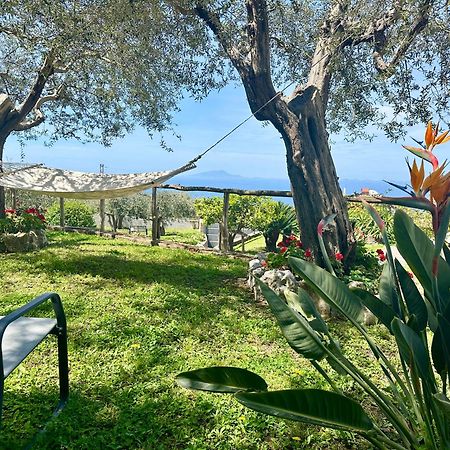 Villa Raf Vico Equense Exteriér fotografie