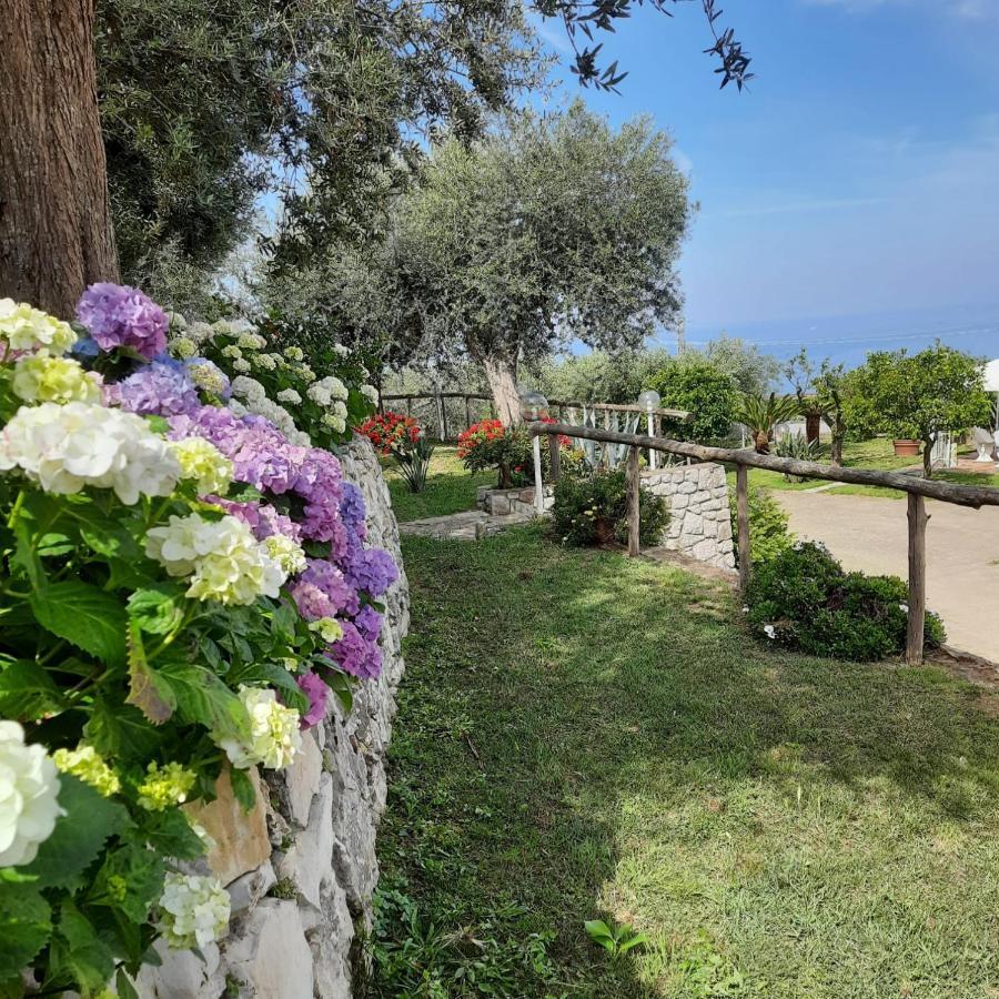 Villa Raf Vico Equense Exteriér fotografie