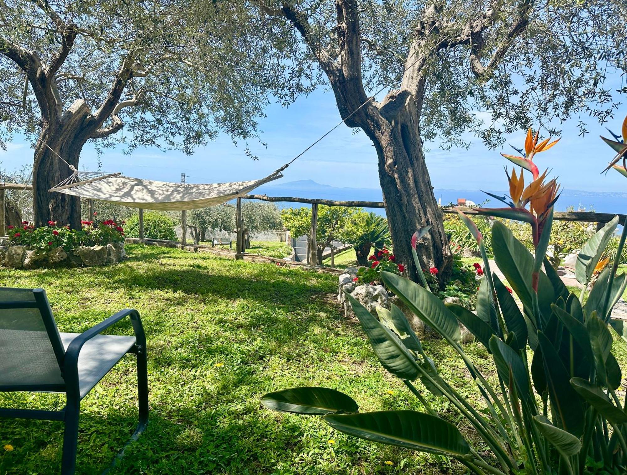 Villa Raf Vico Equense Exteriér fotografie